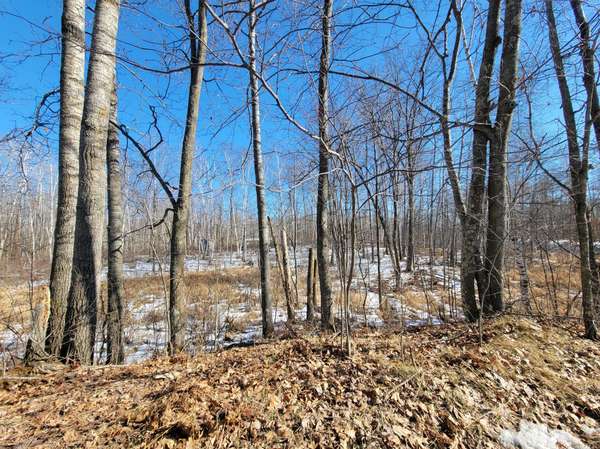 TBD XXXX Meadow Lake RD SW, Motley, MN 56466