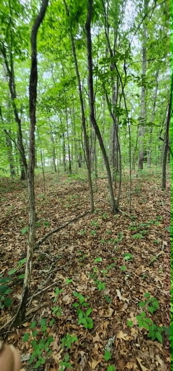 0 Rogers Rd, Crossville, TN 38572