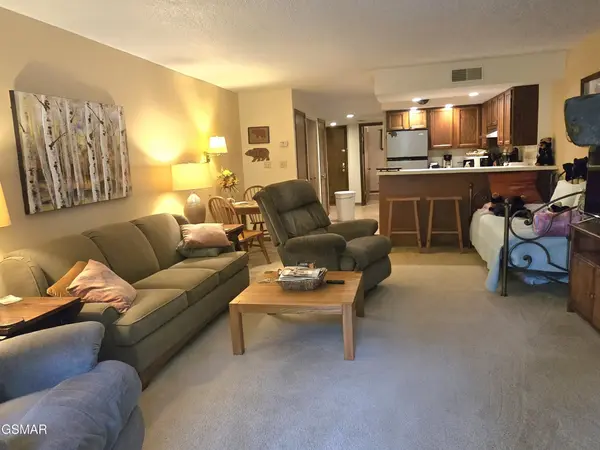 1435 Wiley Oakley Drive #151, Gatlinburg, TN 37738