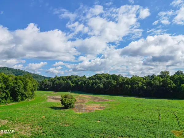 60 Cosby Highway, Cosby, TN 37722