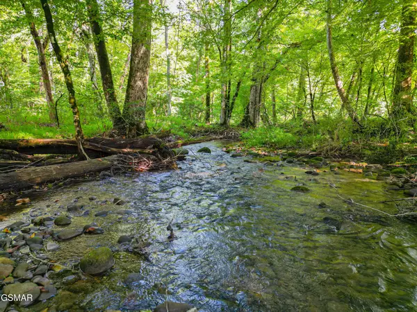 60 Cosby Highway, Cosby, TN 37722