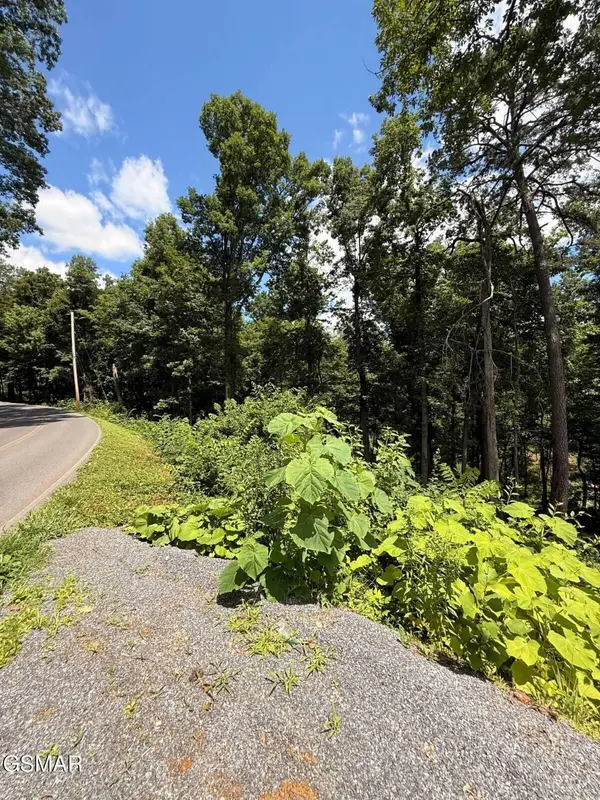11 Cherokee Drive, Dandridge, TN 37725