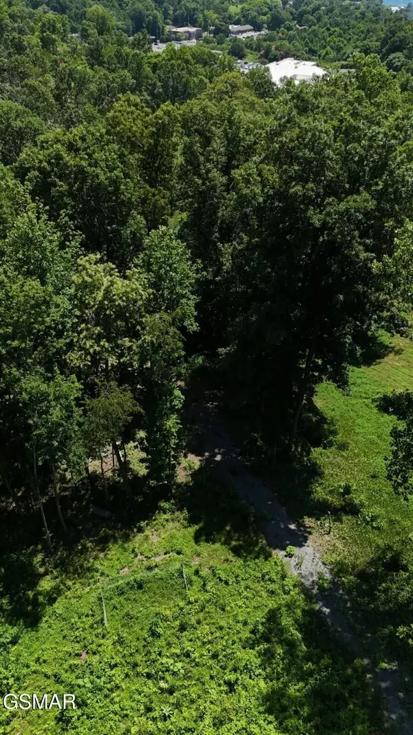 12 Cherokee Drive, Dandridge, TN 37725