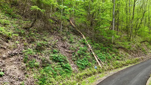 27 Black Walnut Flats Road, Sevierville, TN 37876