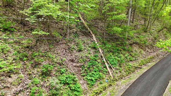 27 Black Walnut Flats Road, Sevierville, TN 37876
