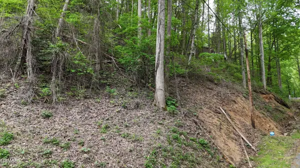 33 Black Walnut Flats Road, Sevierville, TN 37876