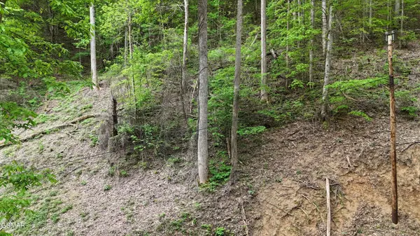 33 Black Walnut Flats Road, Sevierville, TN 37876