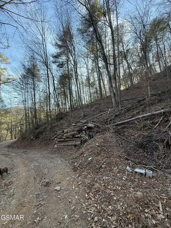 20 Meadow View Road, Sevierville, TN 37862