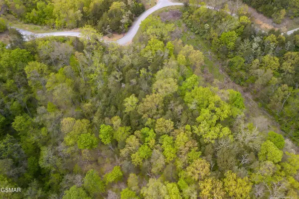 0 Sugar Cove Way, Newport, TN 37821