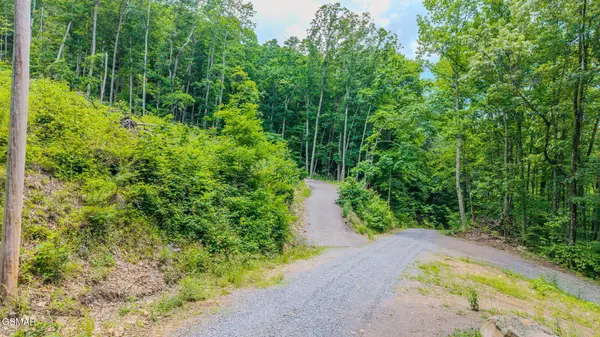1038 Clingmans View, Sevierville, TN 37876