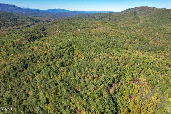 0 Branam Hollow Road Off, Gatlinburg, TN 37738
