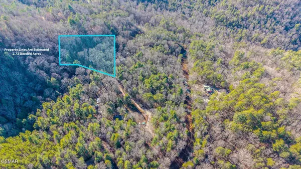 0 Old Hickory Road, Tellico Plains, TN 37385