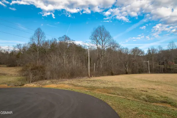 10 Tarwater Lane, Sevierville, TN 37862