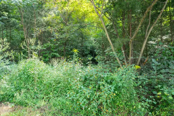 13 Lexy Lane, Sevierville, TN 37862