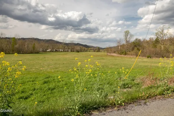 0 Tarwater Lane, Sevierville, TN 37862