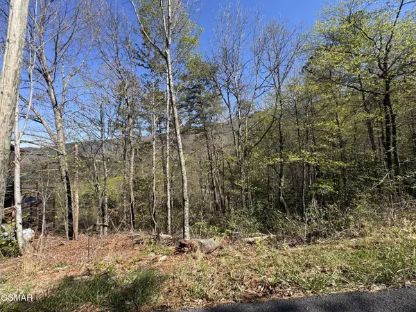 11 Perry Cir Lane, Sevierville, TN 37862