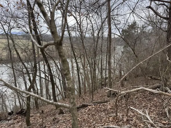 6 John Spears Way, Sevierville, TN 37876