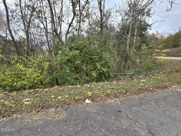 17 Scott Street, Sevierville, TN 37876