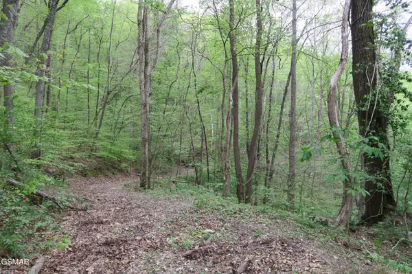 250 Mountain Side Lane, Rocky Top, TN 37769