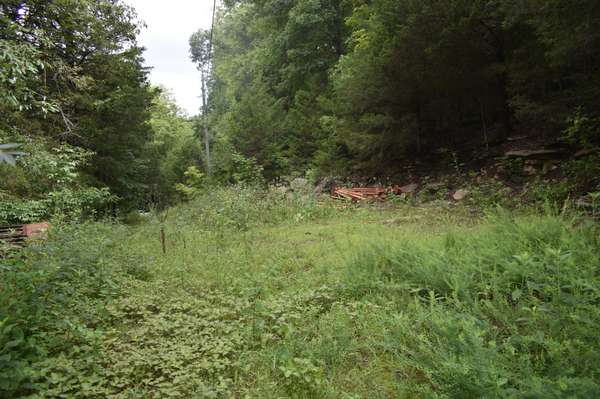 0 Ben Gentry Ln, Elmwood, TN 38560