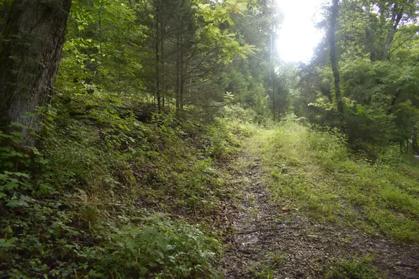 0 Ben Gentry Ln, Elmwood, TN 38560