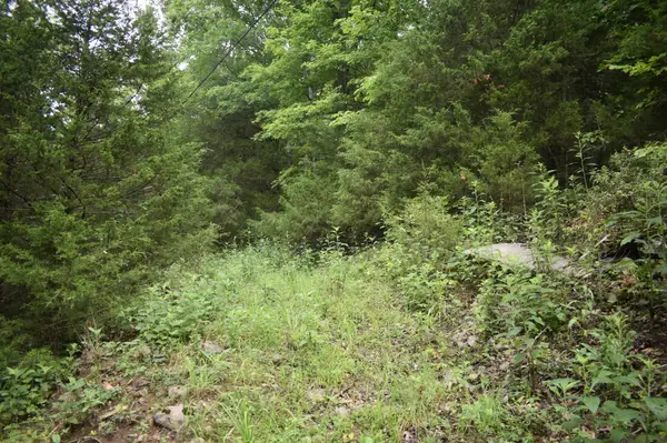 0 Ben Gentry Ln, Elmwood, TN 38560