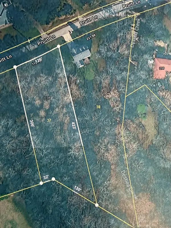 1134 Pruitt Ln, Gallatin, TN 37066