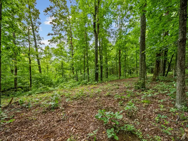 5021 Old Highway 13, Cumberland City, TN 37050