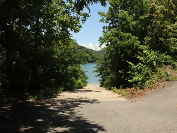 0 Coves Pointe Rd #W, Sparta, TN 38583