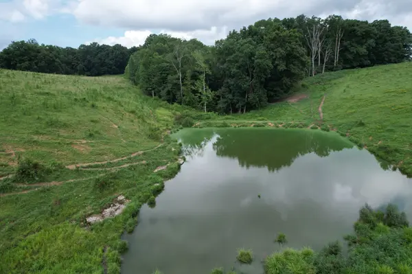 5 N Lick Creek Rd, Franklin, TN 37064