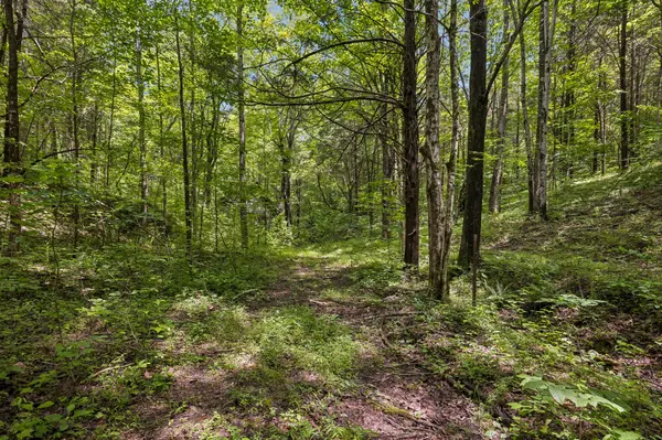 4876 Louise Creek Rd, Cunningham, TN 37052