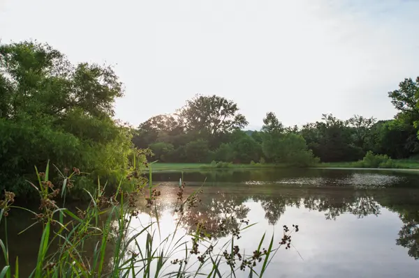 2023 Dr Robertson Rd, Spring Hill, TN 37174