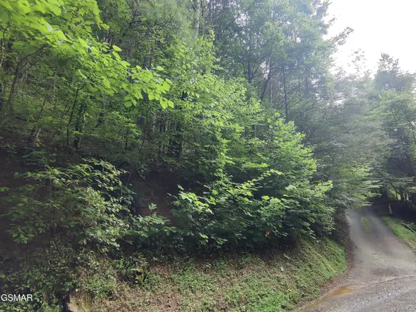 0 Old Hag Hollow Way, Sevierville, TN 37876