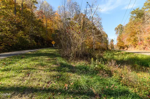 1 Jones Cove Road, Cosby, TN 37722