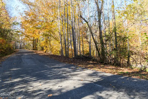 1 Jones Cove Road, Cosby, TN 37722