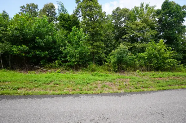 3 Peachers Lane, Indian Mound, TN 37079