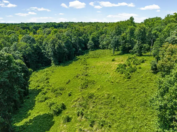 3 Peachers Lane, Indian Mound, TN 37079