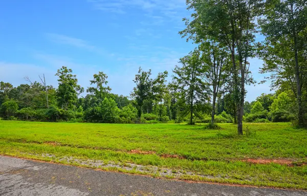 5 Peachers Lane, Indian Mound, TN 37079