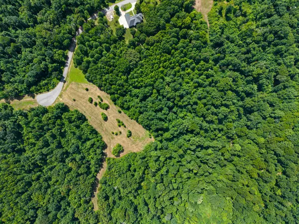 7 Peachers Lane, Indian Mound, TN 37079