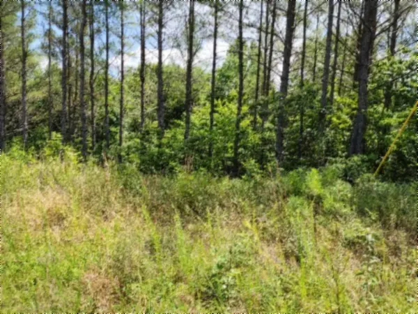 674 Rhodas Way, Sunbright, TN 37872