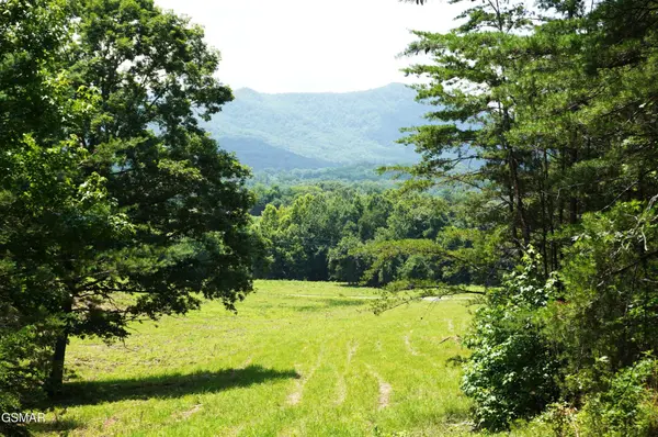 0 Rhyne Camp Road, Newport, TN 37821