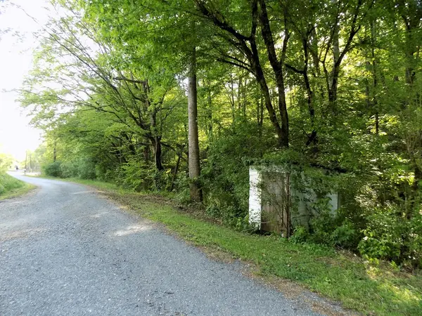 23 Driftwood Road, Cosby, TN 37722