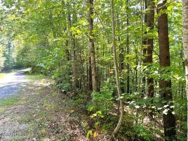 8 Faith Mountain Way, Hartford, TN 37753