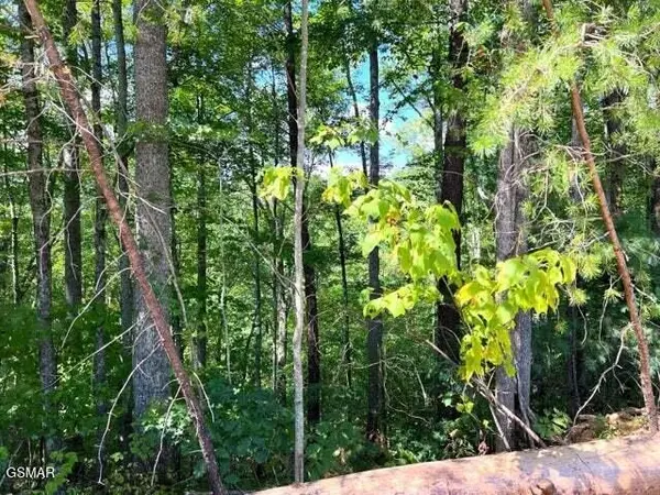 8 Faith Mountain Way, Hartford, TN 37753