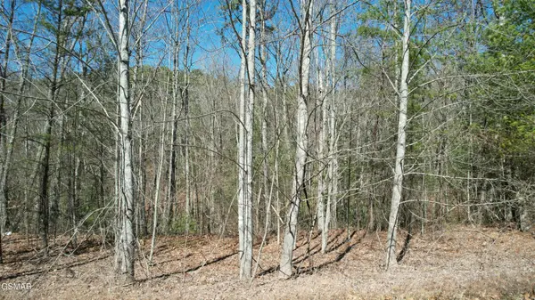 442 Hawken Drive, Walland, TN 37886
