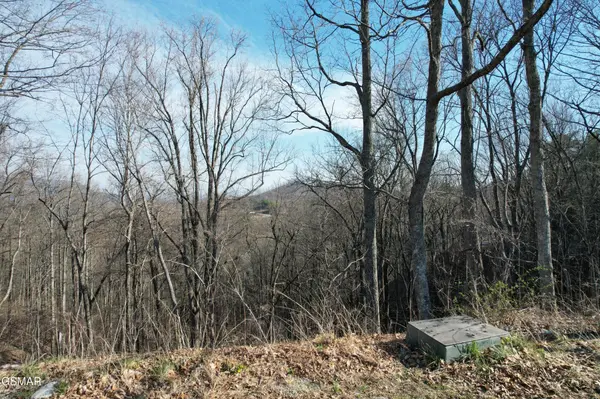 2 Spurling Way, Sevierville, TN 37862