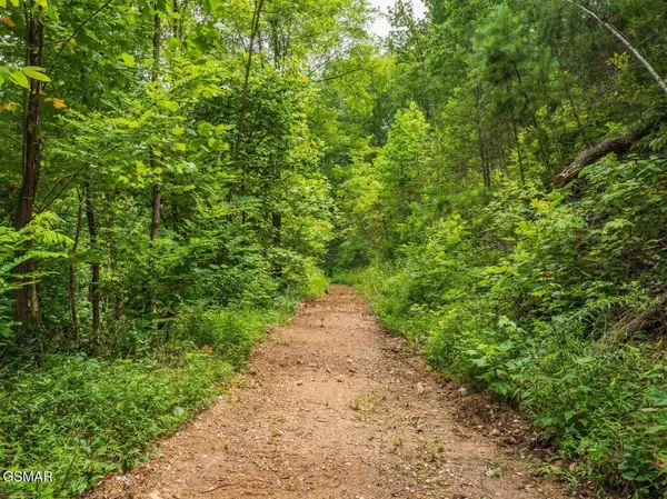 2119 Spurling Road, Sevierville, TN 37862