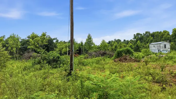 301 County Road 315, Bryant, AL 35958