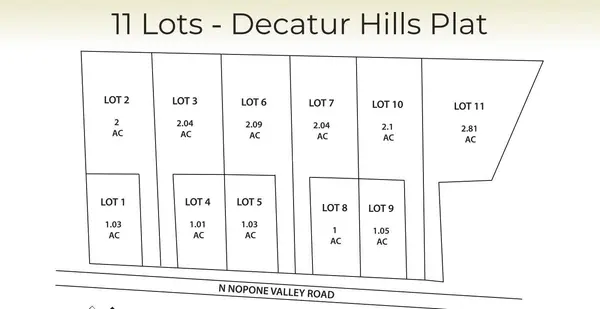 9 N Nopone Valley Road, Decatur, TN 37322