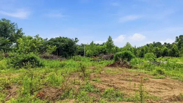 309 County Road 315, Bryant, AL 35958